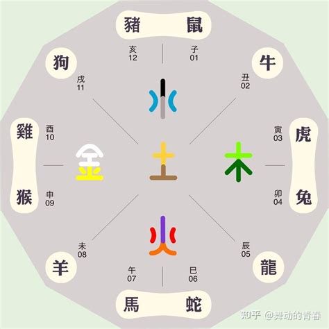 十二生肖五行對照|十二生肖对应的五行及属相年份五行对照表